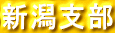 Vx